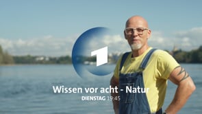 ARD Idents 2022 | Wissen vor Acht – Natur